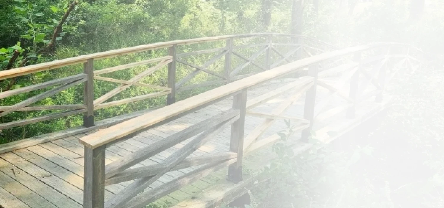 gradient image bridge